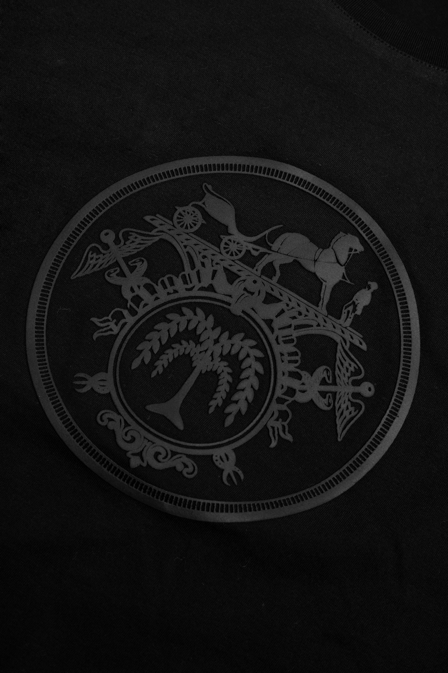 تیشرت - 1605 | برند پوشاک زنانه کالین | فروشگاه آنلاین خرید لباس،کیف و کفش تیشرت - 1605 - Image 5